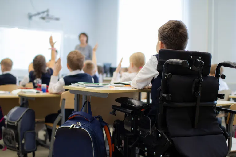 The Overlap Between Developmental Disabilities and Mental Health