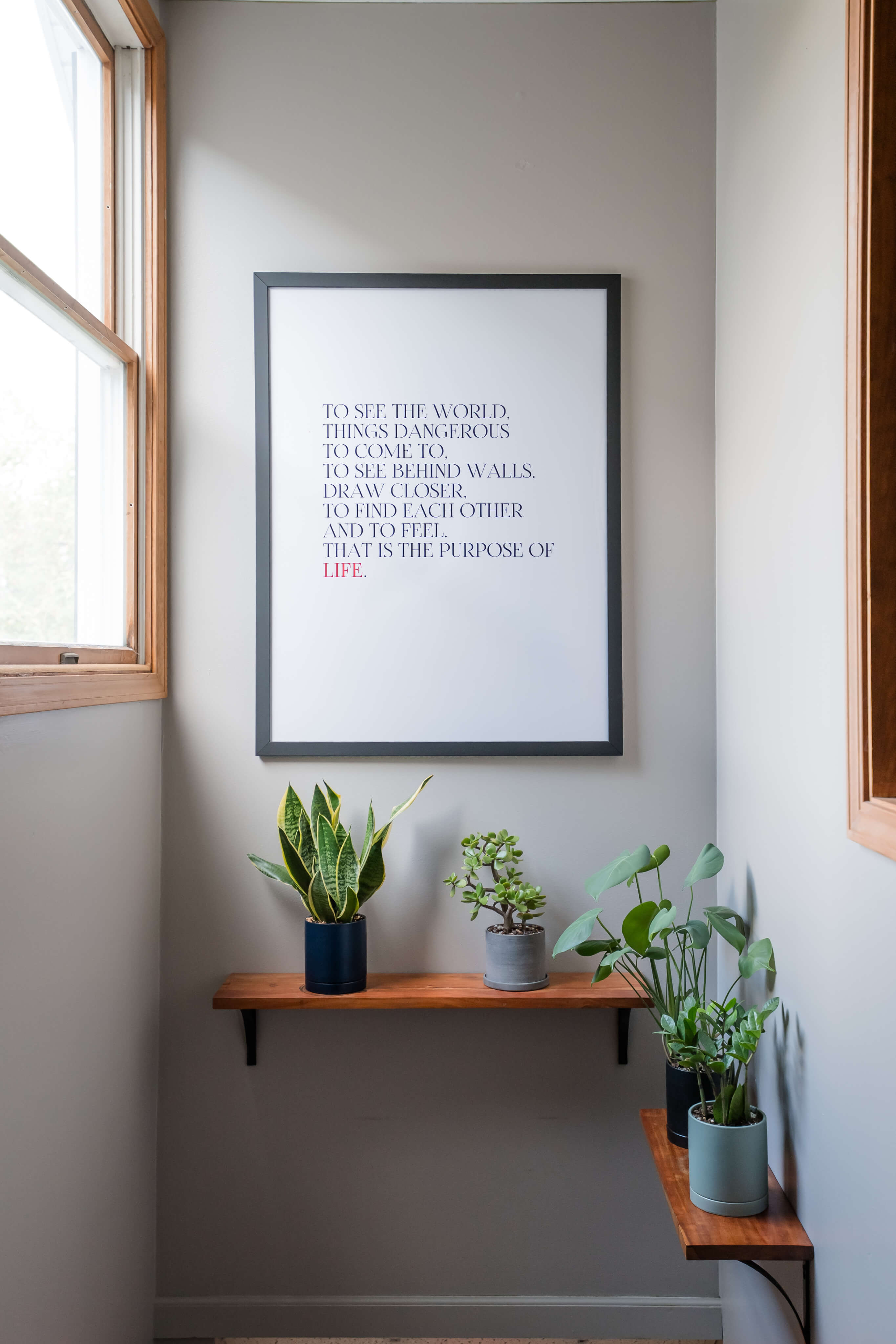 Picture of a sign surrounded by plants